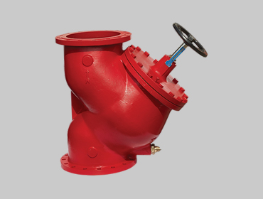 Triple Duty Check Valve